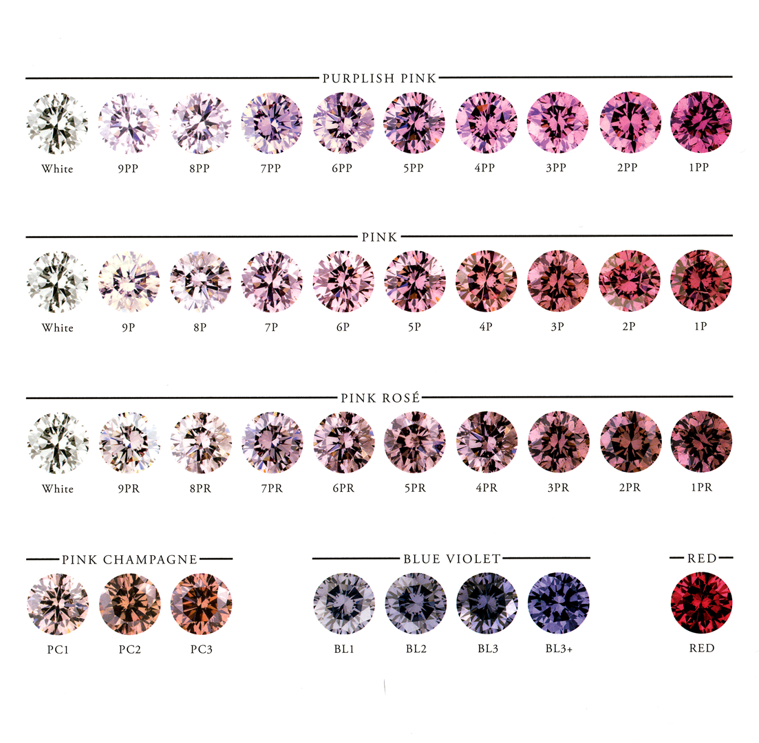 Pink Rose Color Chart